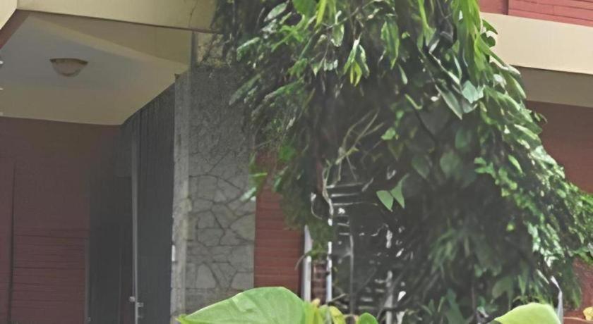 Fairmount Hotel โพคารา ภายนอก รูปภาพ